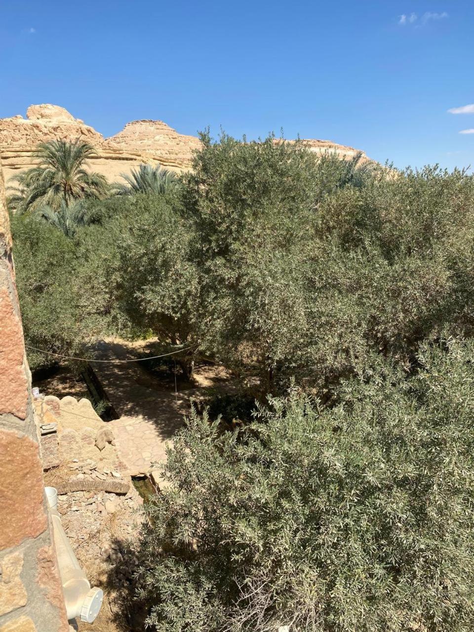 فندق Fada Morgana Siwa Oasis المظهر الخارجي الصورة
